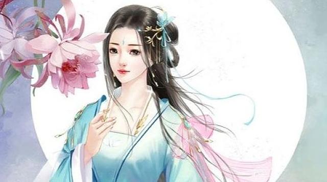 一夜弃妃书评，深度解读与最新评价