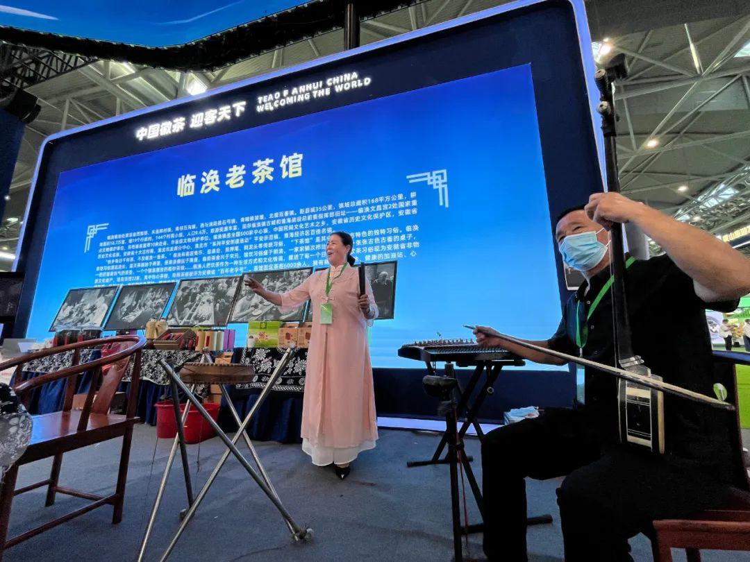宣城中国茶府最新消息深度解析
