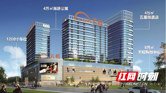 地税机构改革最新消息，迈向更高效、更公正的未来