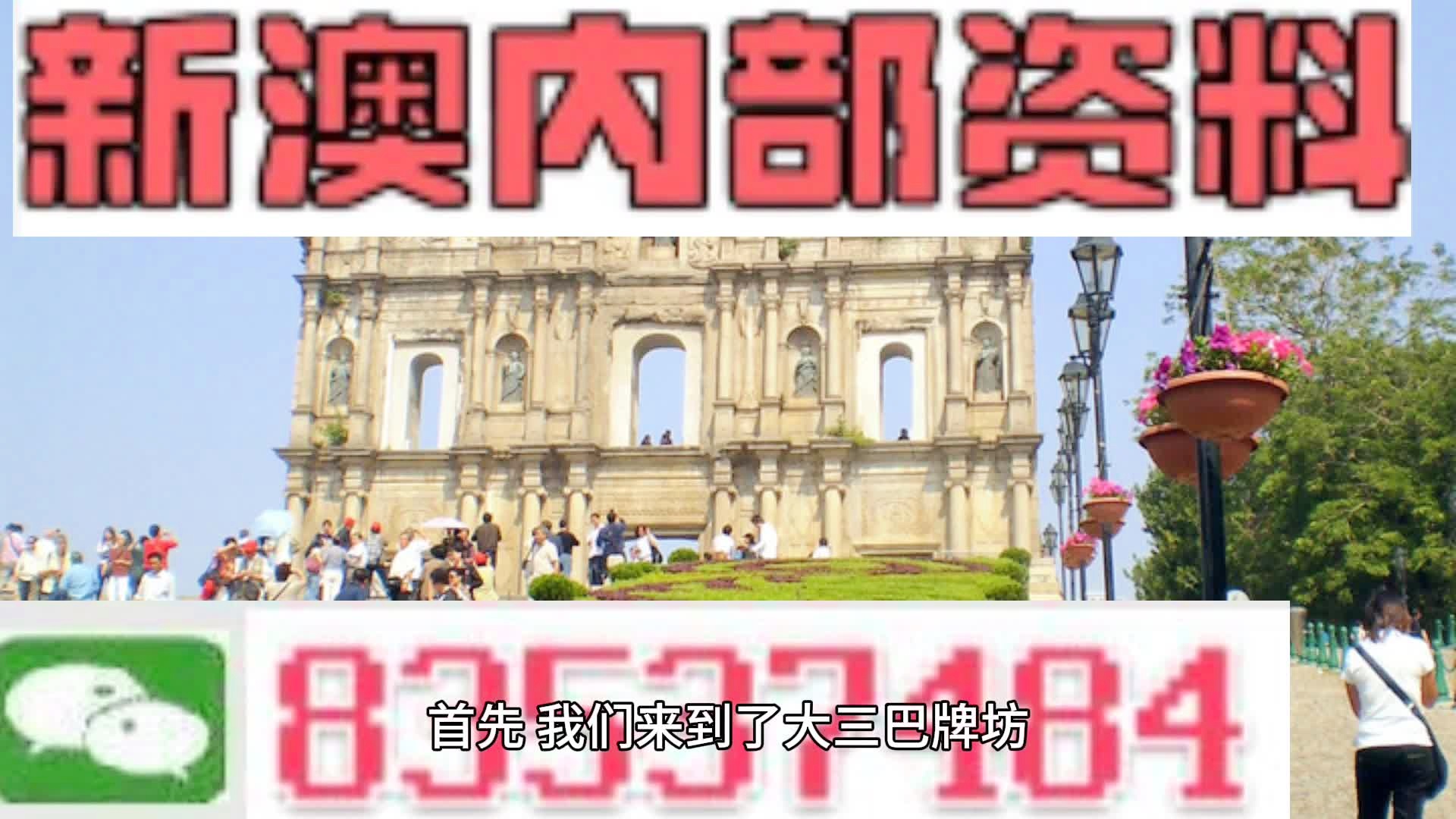 新澳2024正版资料免费公开|精选解释解析落实