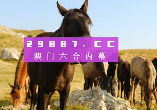 澳门最精准四不像正版|精选解释解析落实