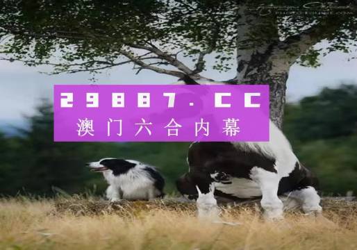 2024澳门精准跑狗图|精选解释解析落实