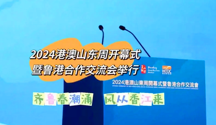2024新澳正版资料大全旅游团|精选解释解析落实