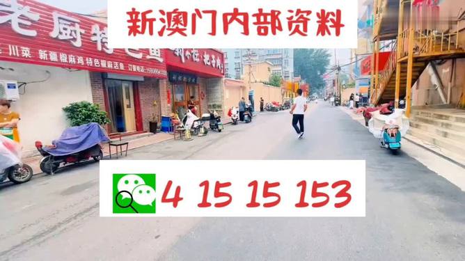 2024新澳门天天开好彩大全49|精选解释解析落实
