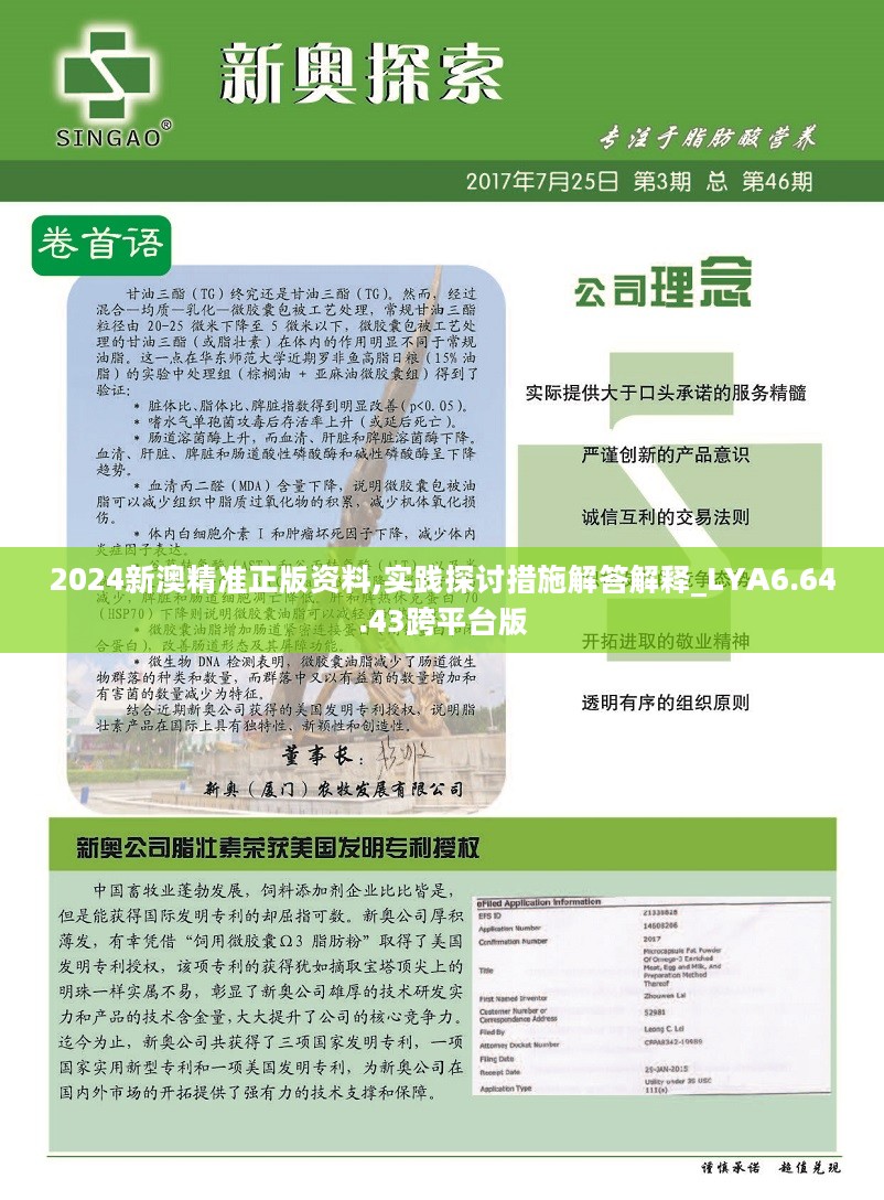 正版资料免费资料|精选解释解析落实