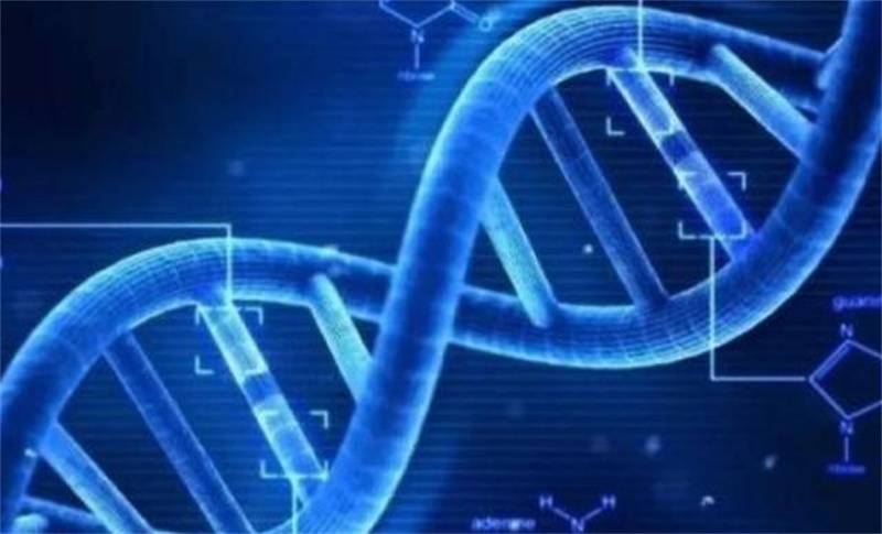 新奥今天最新资料晚上出冷汗|精选解释解析落实
