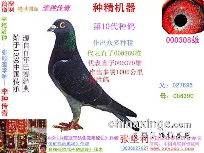 今期四不像图今晚|精选解释解析落实