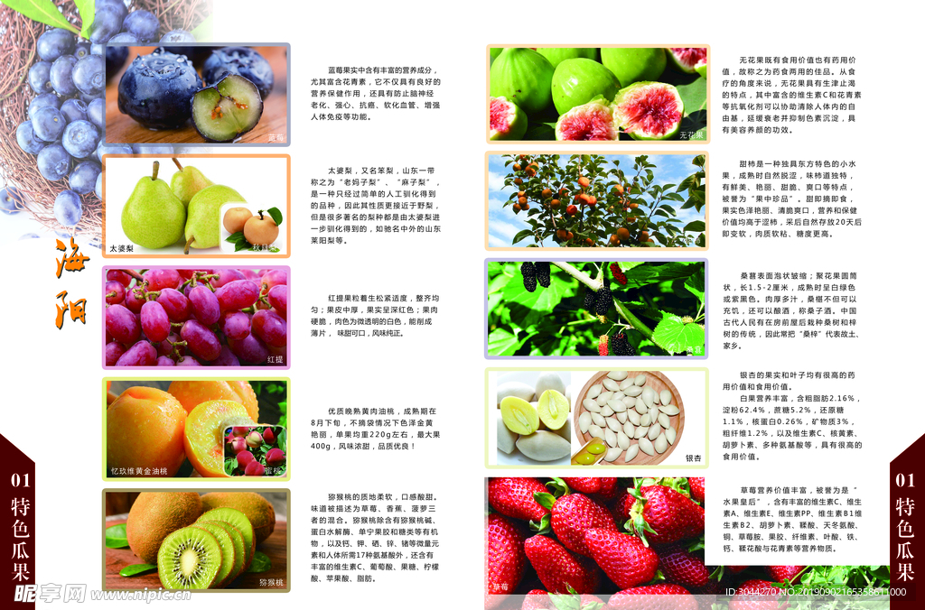 4949正版免费资料大全水果|精选解释解析落实
