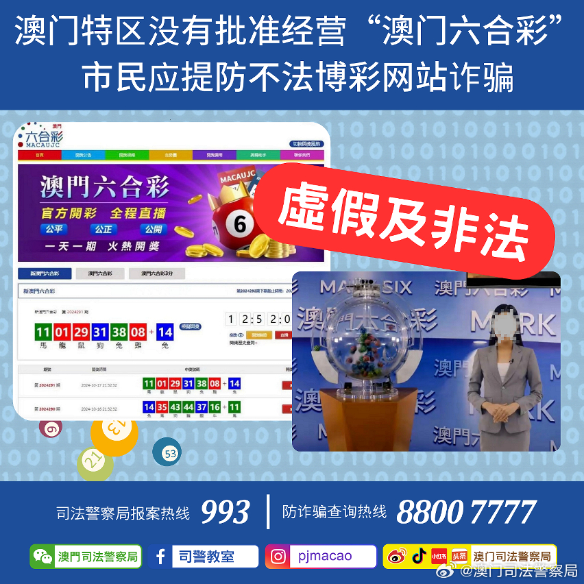 澳门精准大全正版资料2024年|精选解释解析落实