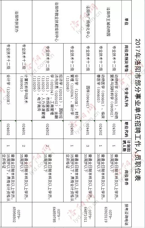 洛阳最新招聘信息工作地点在洛阳