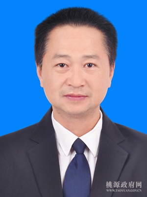 桃源县最新领导班子