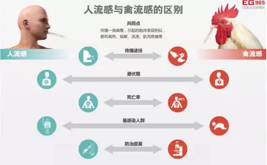 h7n9禽流感最新人数