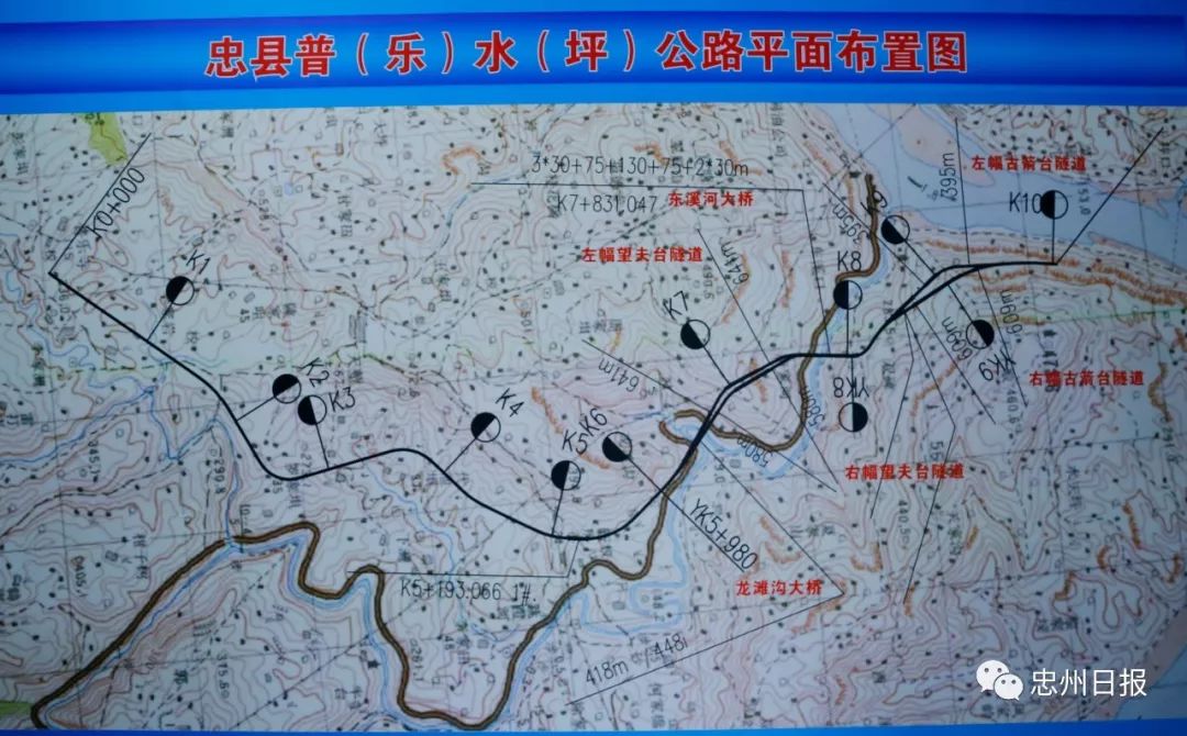 特别推荐 第439页