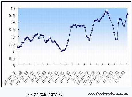 肉毛鸡价格最新行情走势