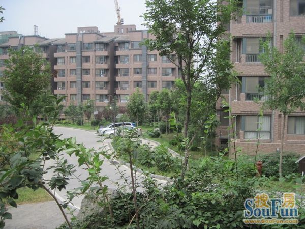 建大花园三期最新消息
