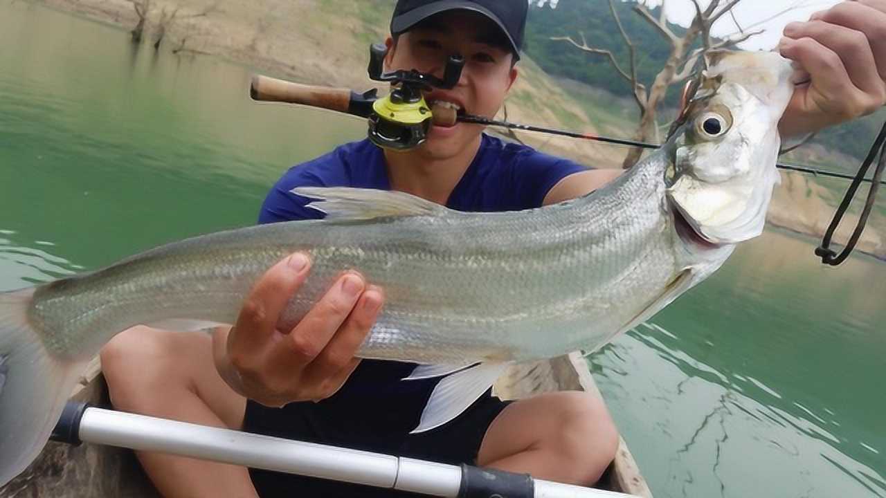 最新钓翘嘴鱼视频直播
