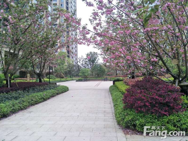 财经新闻 第435页