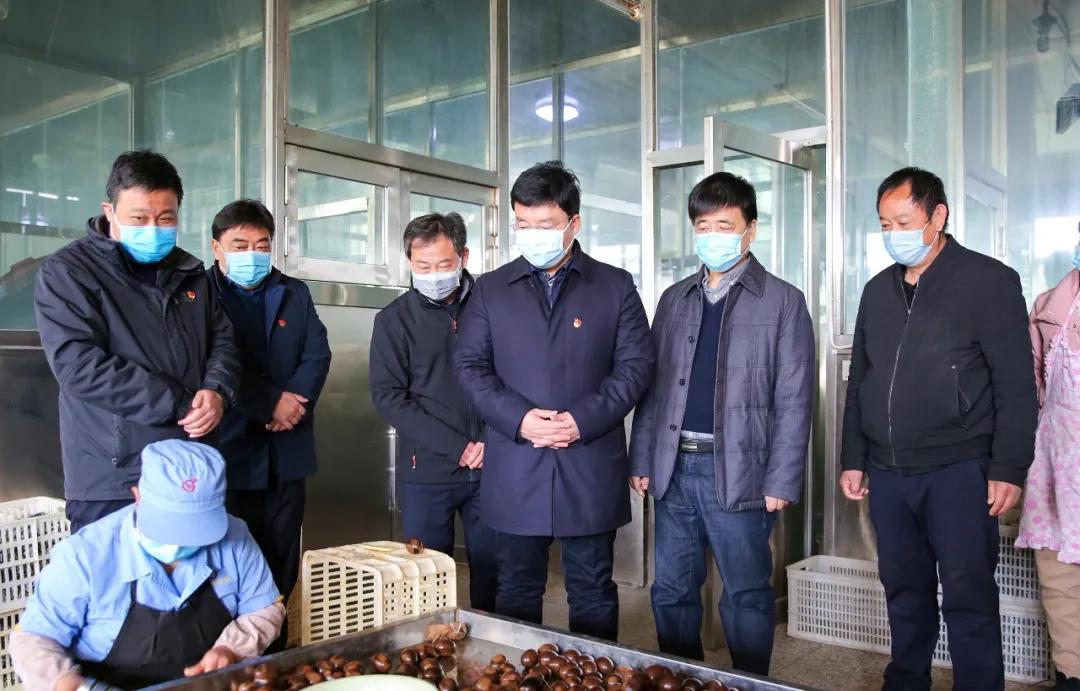 特别推荐 第423页