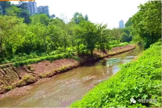 沙坪坝火车站改造工程最新消息