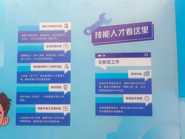 杭州湾新区人才网最新