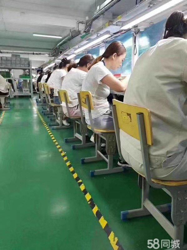 成都电线电缆挤塑工最新招聘信息
