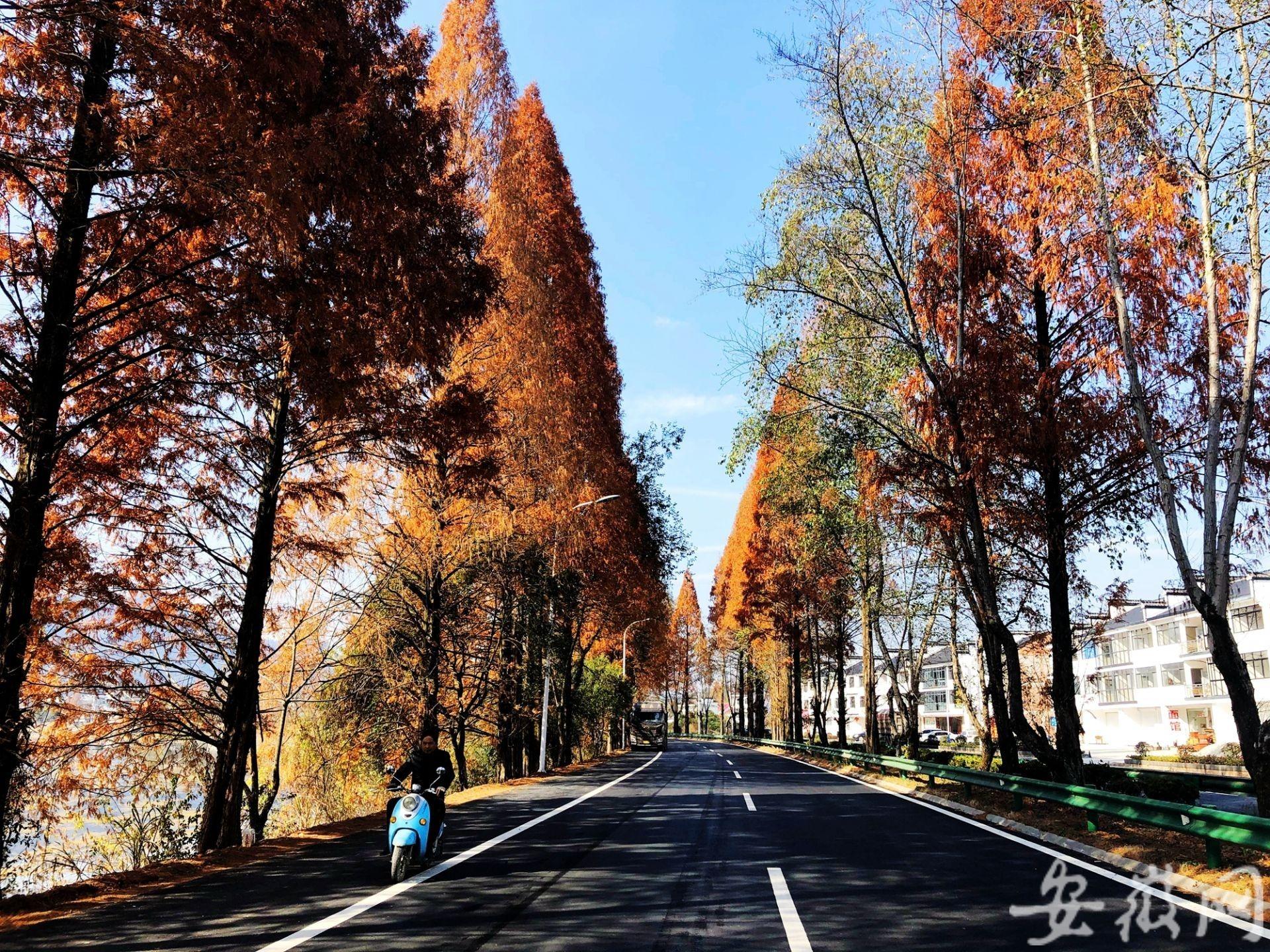 歙黟一级公路最新消息