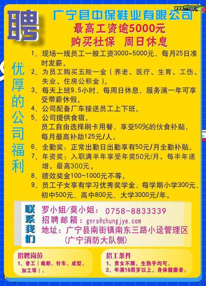 东涌京写公司最新招工