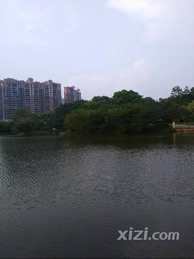 惠东西子湖畔惠东窗口最新新闻