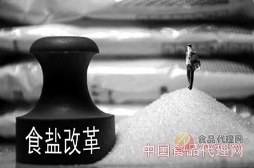 中央盐业改革最新消息