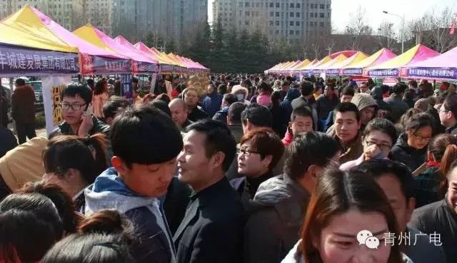 青州泰华最新招聘信息