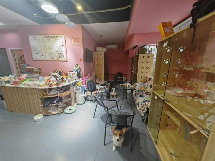 西安最新宠物店转让