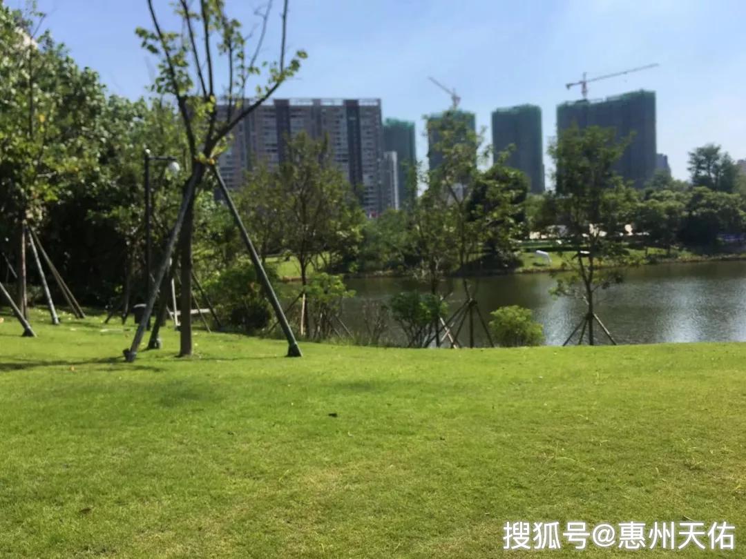 大亚湾牧马湖最新消息