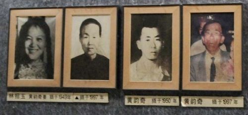 乡村寡妇村最新章节
