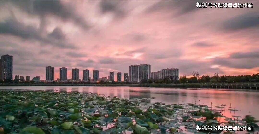 牛一丁最新文章