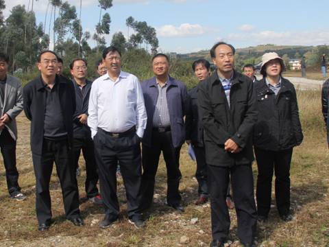 云南李培最新消息