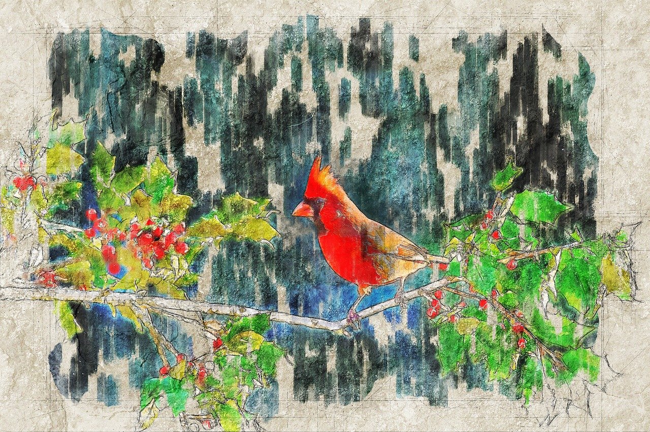 鹦鹉晒月的最新作品