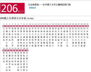 长沙206路最新路线