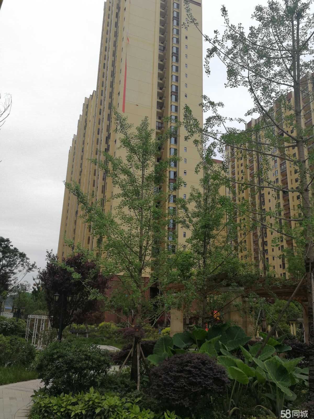 阆中天合丽景最新动态