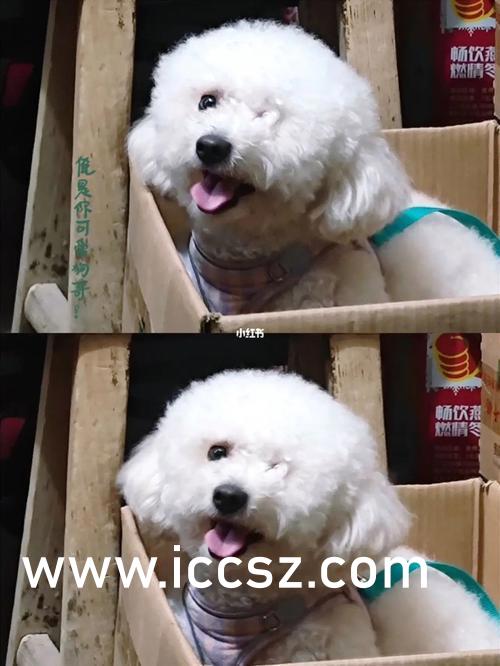 热门推荐 第339页