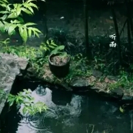 霉运阴阳眼最新章节