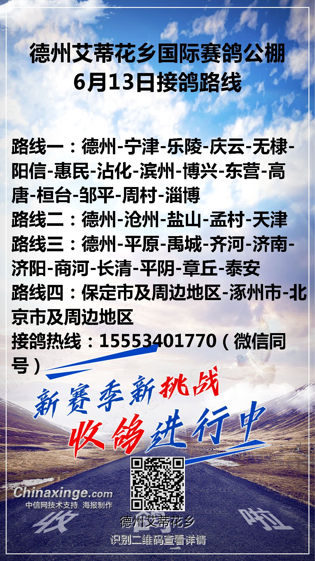 文德赛鸽公棚最新公告