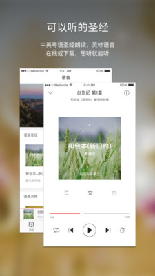 下载微读圣经最新版