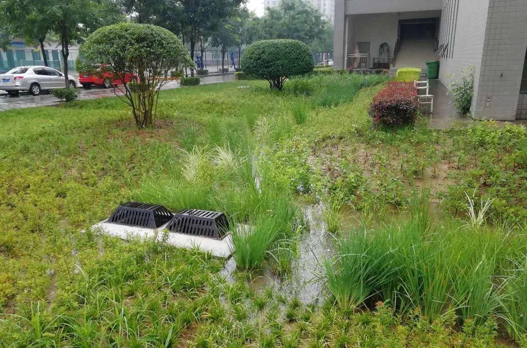 沣西新城最新建设消息