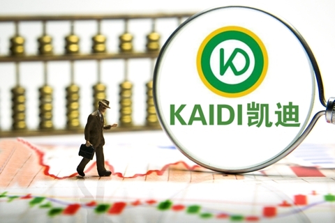 凯迪最新消息内部