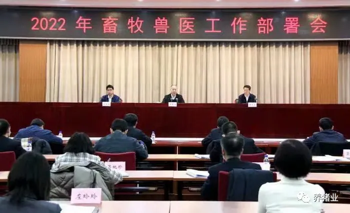 官方兽医改革最新消息