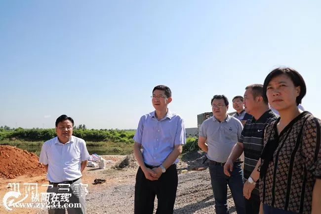 枞阳老洲镇最新新闻
