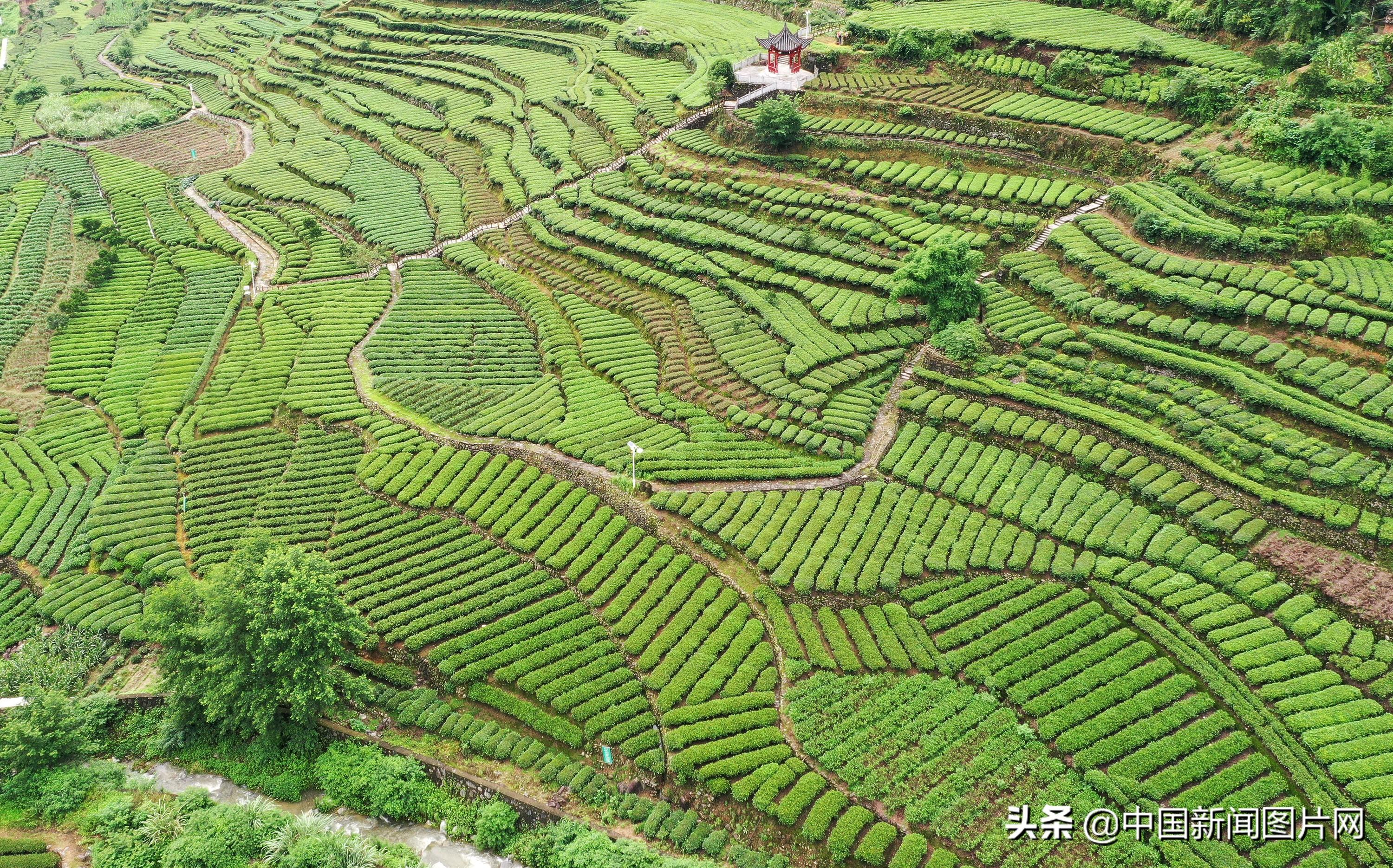 秭归茅坪最新招聘信息