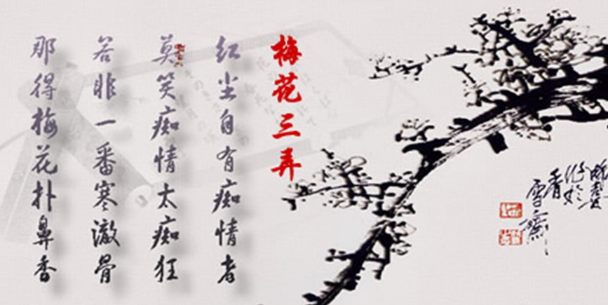 2016最新正版梅花诗