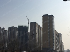 太原丁香园最新消息
