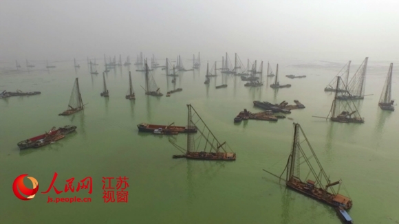 骆马湖采沙最新动态